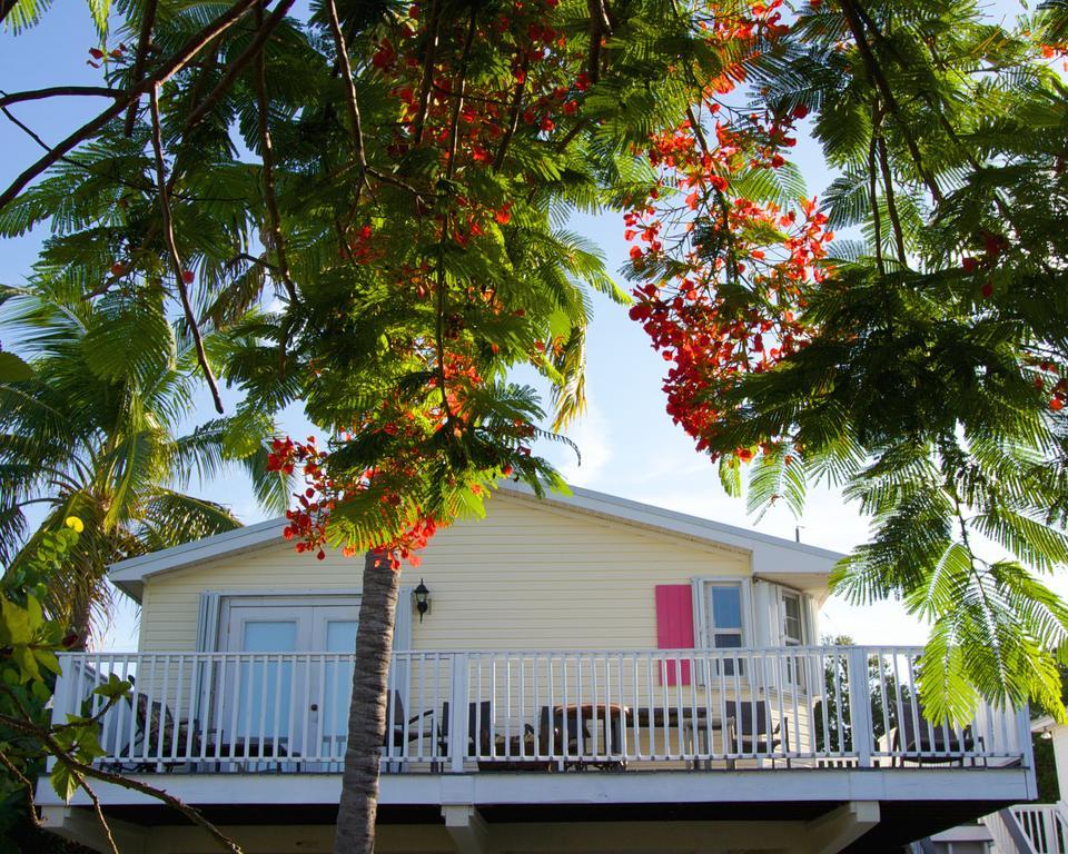 Conch Key Cottages 部屋 写真